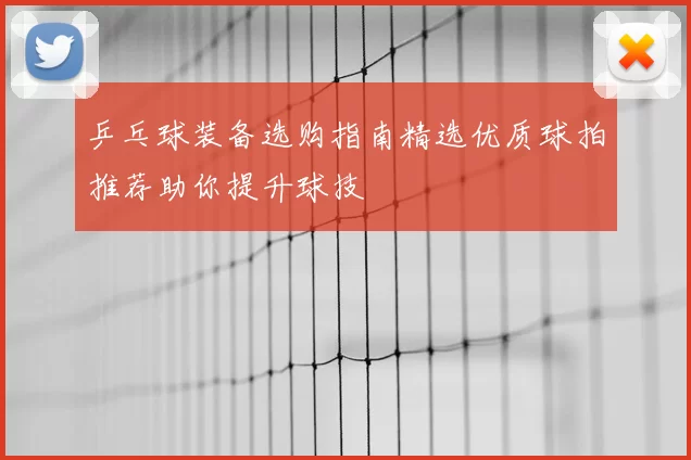 乒乓球装备选购指南精选优质球拍推荐助你提升球技