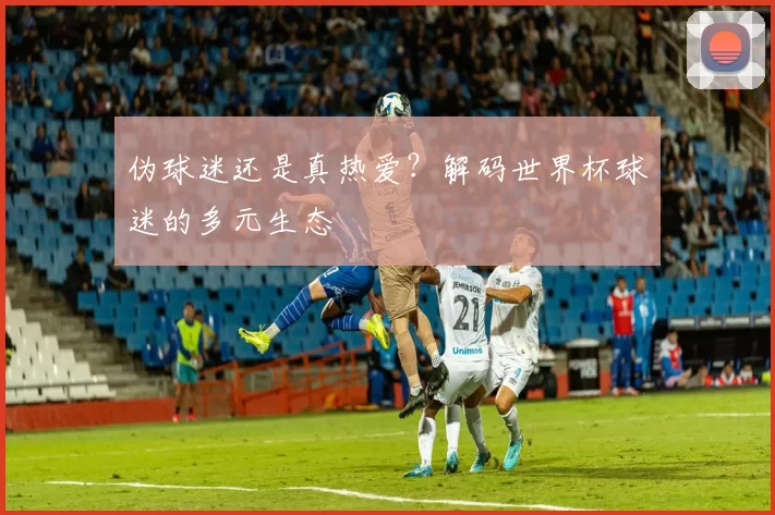 伪球迷还是真热爱？解码世界杯球迷的多元生态