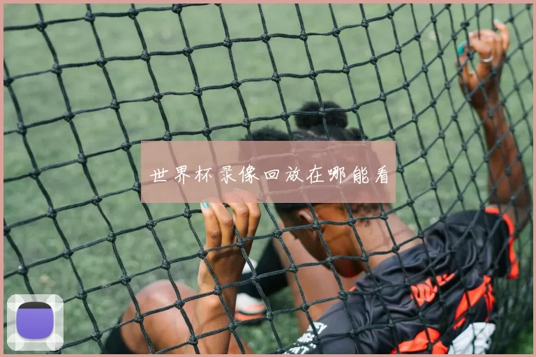 世界杯录像回放在哪能看