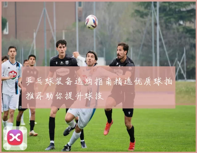乒乓球装备选购指南精选优质球拍推荐助你提升球技