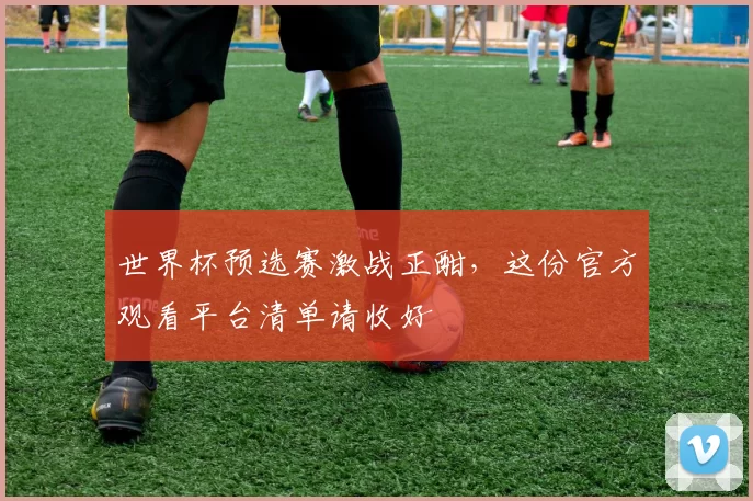 世界杯预选赛激战正酣，这份官方观看平台清单请收好