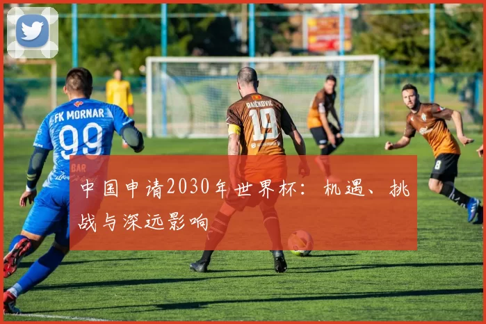 中国申请2030年世界杯：机遇、挑战与深远影响