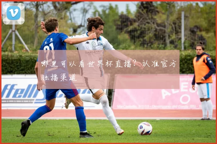 哪里可以看世界杯直播？认准官方独播渠道