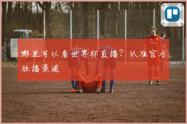 哪里可以看世界杯直播？认准官方独播渠道