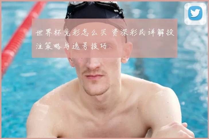 世界杯竞彩怎么买 资深彩民详解投注策略与选号技巧