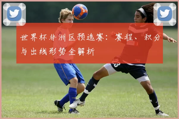 世界杯非洲区预选赛：赛程、积分与出线形势全解析