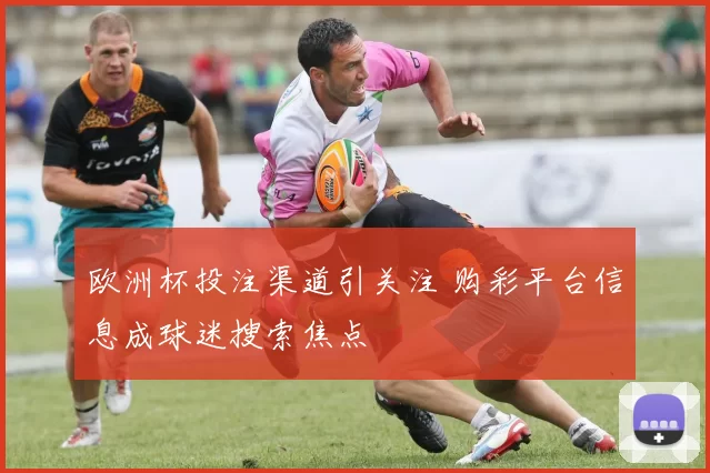 欧洲杯投注渠道引关注 购彩平台信息成球迷搜索焦点