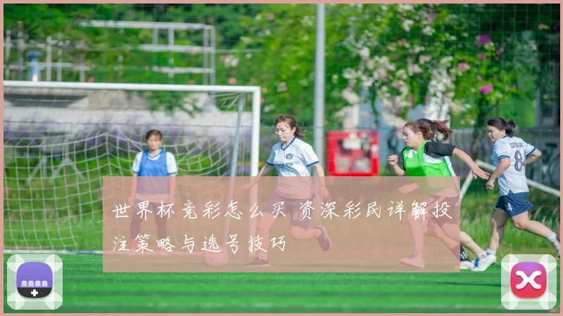 世界杯竞彩怎么买 资深彩民详解投注策略与选号技巧