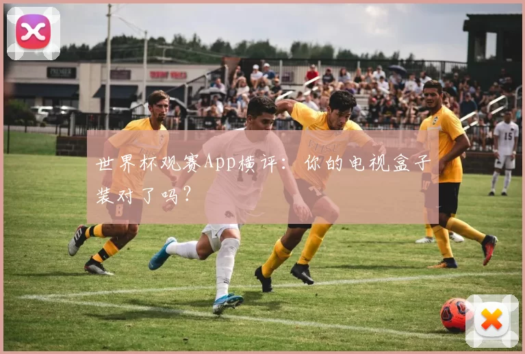 世界杯观赛App横评：你的电视盒子装对了吗？