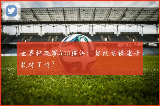 世界杯观赛App横评：你的电视盒子装对了吗？