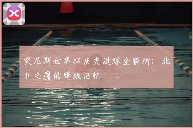 突尼斯世界杯历史进球全解析：北非之鹰的锋线记忆